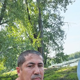 , 44, 