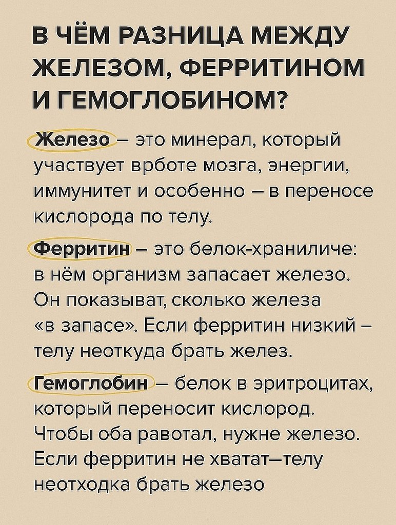      .        ... - 2