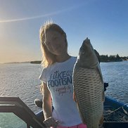 �����, 39 ���, ���������