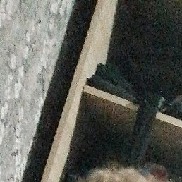 ����, ������, 25 ���