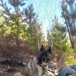 ���� �����, ����, 59 ��� - ��������� 6 ������ 2026