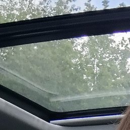 ������, ������, 40 ���