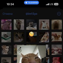 ���� ������, ������, 22 ���� - ��������� 19 ��� 2024