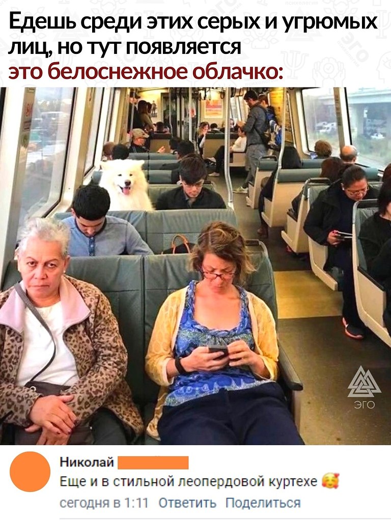 ���� � ������� �������� �����, �������, ��� �� ����!