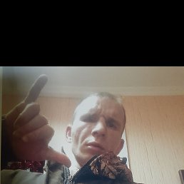 ��������, 37 ���, ������