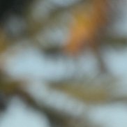 ����, 28 ���, ����