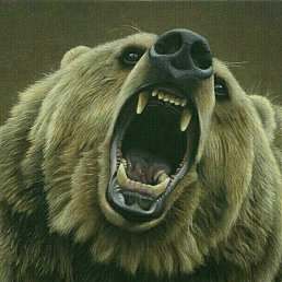 �������, �����, 42 ����