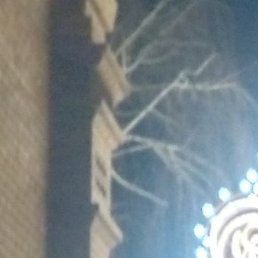 �������, ���������, 52 ����