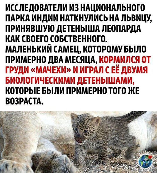 ����� �e�e� �e ���ae�: �����a �c��o���a �e�e���a �eo�ap�a - 2