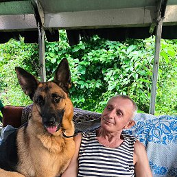 �������, ������, 61 ���