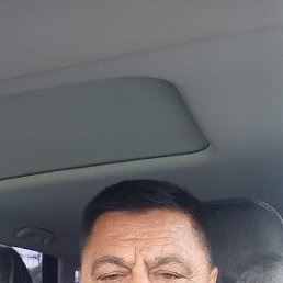 ����, 56 ���, ������