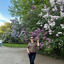 ���� ��������, ����� - ��������� 11 ������ 2025 � ������ ���� ����������