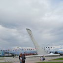  , , 33  -  6  2025    