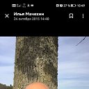 ���� ����, �������, 46 ��� - ��������� 22 ����� 2024 � ������ ���� ����������