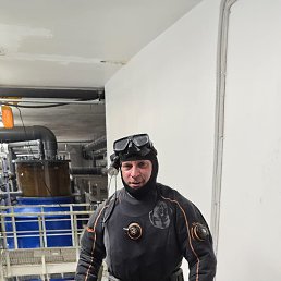 , 52, 