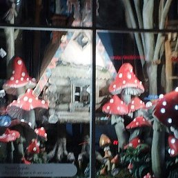 �����, ������, 47 ���