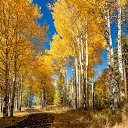 ���� �������, ������������ - ��������� 7 ������ 2024 � ������ ���� ����������