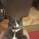 ���� �����, �����, 40 ��� - ��������� 13 ������ 2024 � ������ ���� ����������