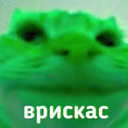 ��, ������ ��������, 100 ���