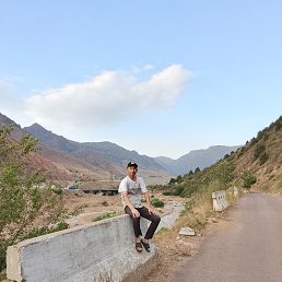, 41, 