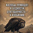 ���� �����, ������, 42 ���� - ��������� 28 ������� 2026 � ������ ���������