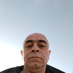 , 52, 