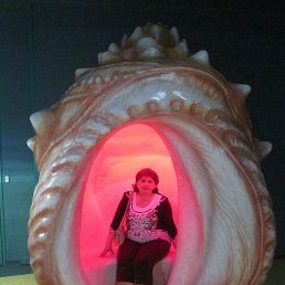 , 46,  