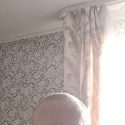 �������, 43 ����, �����