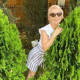 ���� �������, ������������ - ��������� 9 ������� 2026