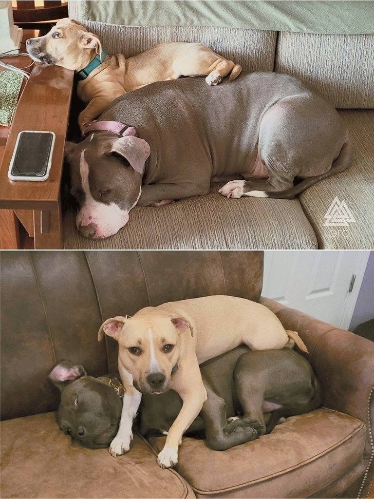 ����� �� �������, � �������� ��������.��������� ������!