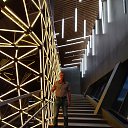 ���� �����, ������������, 45 ��� - ��������� 2 ���� 2025 � ������ ���� ����������