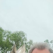 �����, 60 ���, �����������