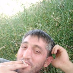 ����, ������-��-����, 49 ���