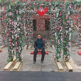 �����, �������, 38 ���