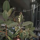 ���� �������, �����������, 26 ��� - ��������� 8 ������ 2026 � ������ ���� ����������
