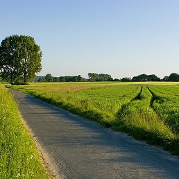 ����, ������, 18 ���