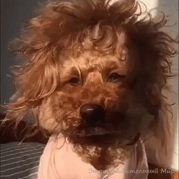 ���� �������, ��������, 47 ��� - ��������� 19 ����� 2026