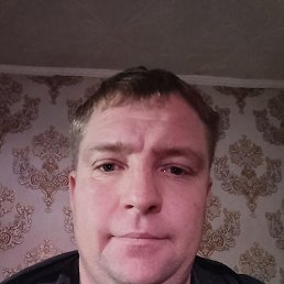 , 41, 