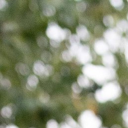 ����, ������-��-����, 46 ���