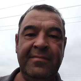 �����, ������, 56 ���