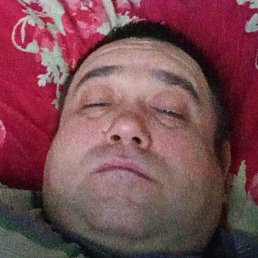 ������, ��������, 40 ���