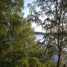 �����, ��������, 51 ���