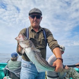 ���� ����, �����������, 70 ��� - ��������� 14 ������ 2026