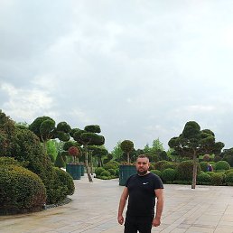 �����, ���������, 41 ���