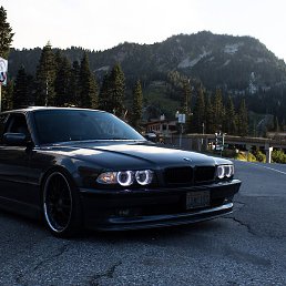 ������, ��������, 35 ���