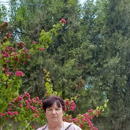, 51, 