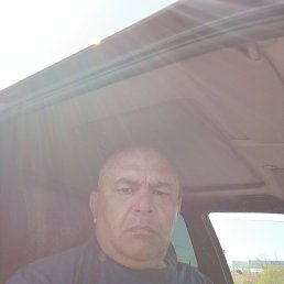 , 52, 
