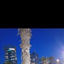 ���� Sviatlana, �����, 55 ��� - ��������� 14 ������� 2024 � ������ ���� ����������