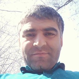 ��������, ������, 37 ���