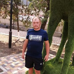 ������, 34 ����, �������